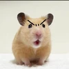 もとち