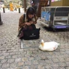 め