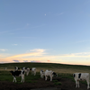 kapastagram