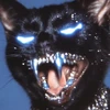 user33yIDpT6NT7