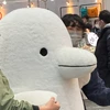 えりんぎのしわ