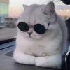 わてきち