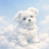 あんちゃん
