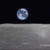 れのん