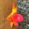 もうこないからねー