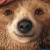 ちぅた