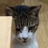 ほ