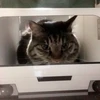 ちひろ