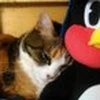 ちひろ部長