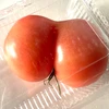 ぷりぷり