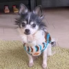 オノマトペ子