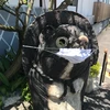 ユウキ