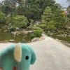 ちくわちゃん