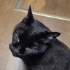 みふこ