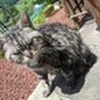 やーまん