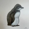 りん