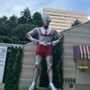 柚子胡椒