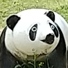 ビビアン