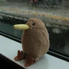 am