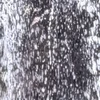 鑑賞記録