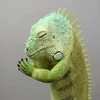 たのむ
