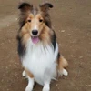 rieko