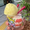 こっしー