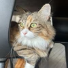 じぇいん