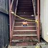げんち
