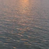 2002