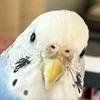 りりり
