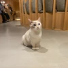 むむ