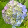userm029014
