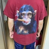 ノブ