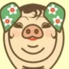 ゆゆうた