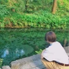 Yuumi