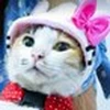 たまちゃん