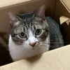 おの
