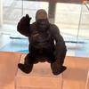 かい