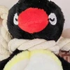 イチゴ