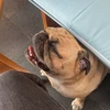 おもみ