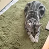 らむね
