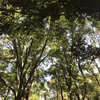 mukyou