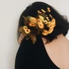 33
