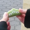 わかめ学生
