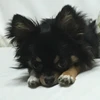 ながさき