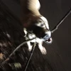 りんたろう