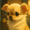 kaz