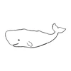 クジラ