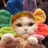 睡眠欲